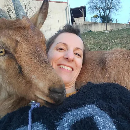 Domaine De La Crete Zen *