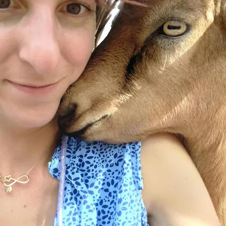 Domaine De La Crete Zen 아파트