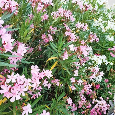 Domaine De La Crete Zen アパート *