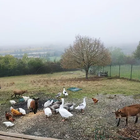 Domaine De La Crete Zen *