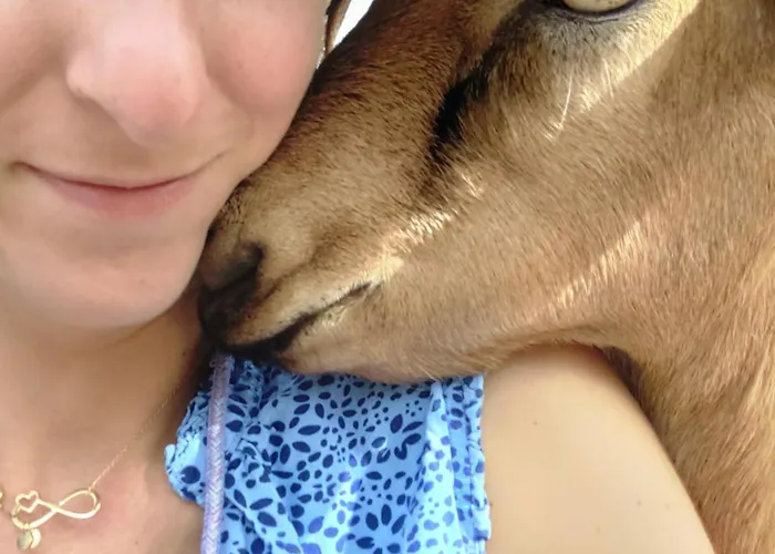 Domaine De La Crete Zen דירה