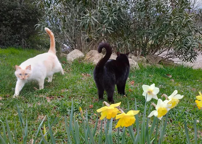 Domaine De La Crete Zen