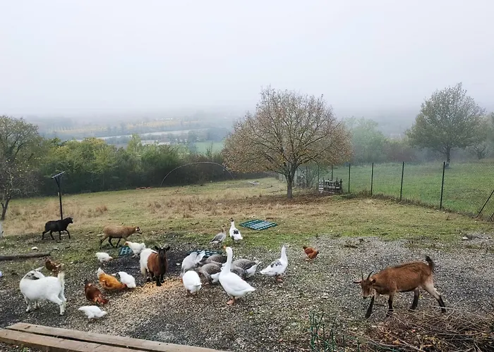 Domaine De La Crete Zen *